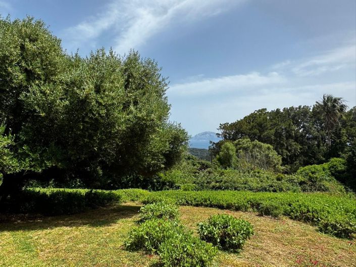Image No.1-2 Bed Plot for sale