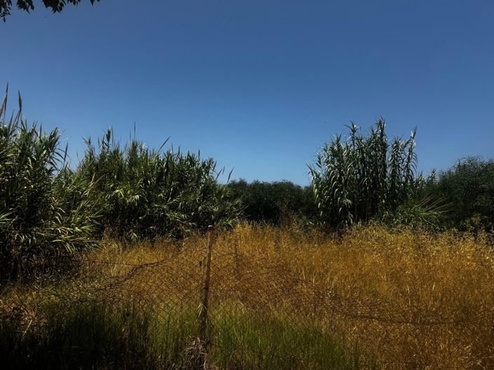 Image No.3-Terrain à vendre à La Línea de la Concepción