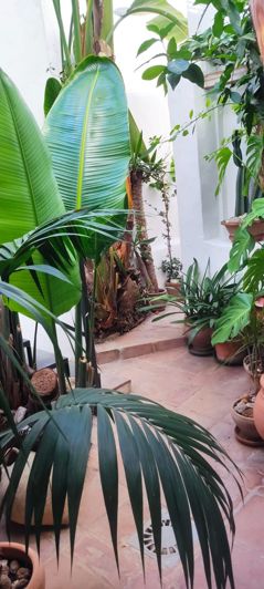 Image No.2-3 Bed Townhouse for sale