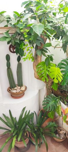 Image No.9-3 Bed Townhouse for sale