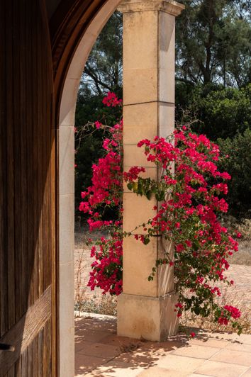 Image No.11-11 Bed Country House for sale