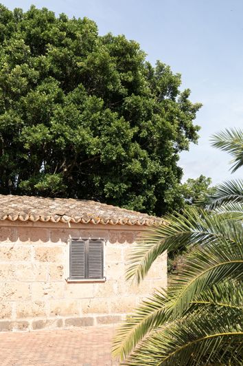 Image No.14-11 Bed Country House for sale