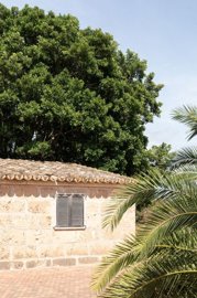 spcrm3668-eknfmbeoymigaenp