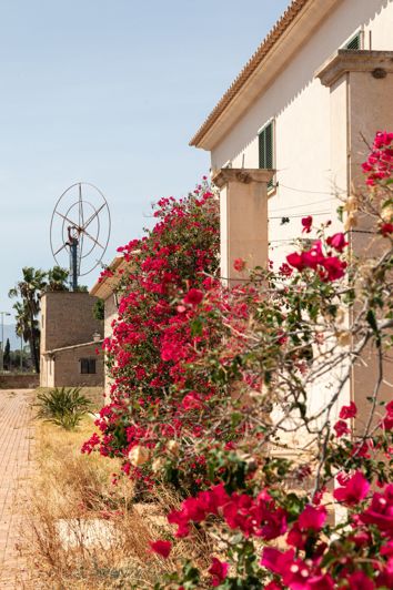 Image No.20-11 Bed Country House for sale