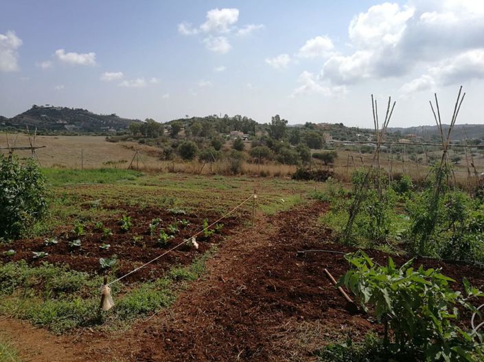 Image No.14-Finca de 2 chambres à vendre à Mijas Costa