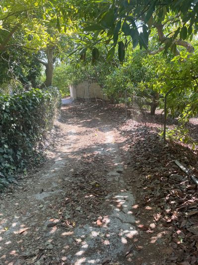 Image No.20-Finca de 2 chambres à vendre à Coin