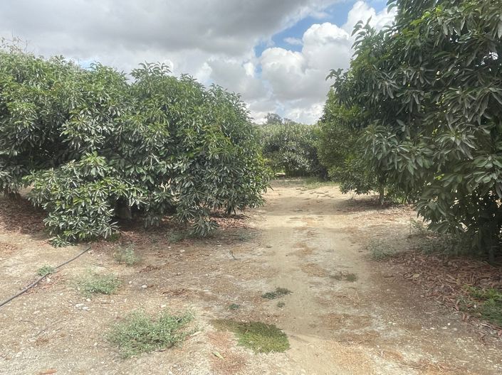 Image No.10-Finca de 2 chambres à vendre à Coin