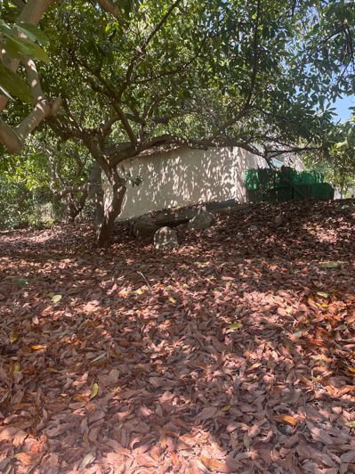 Image No.21-Finca de 2 chambres à vendre à Coin