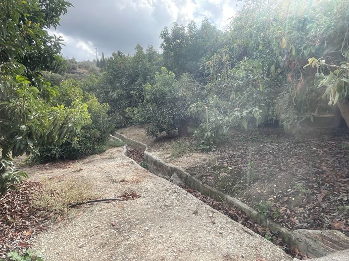 Image No.11-Finca de 2 chambres à vendre à Coin