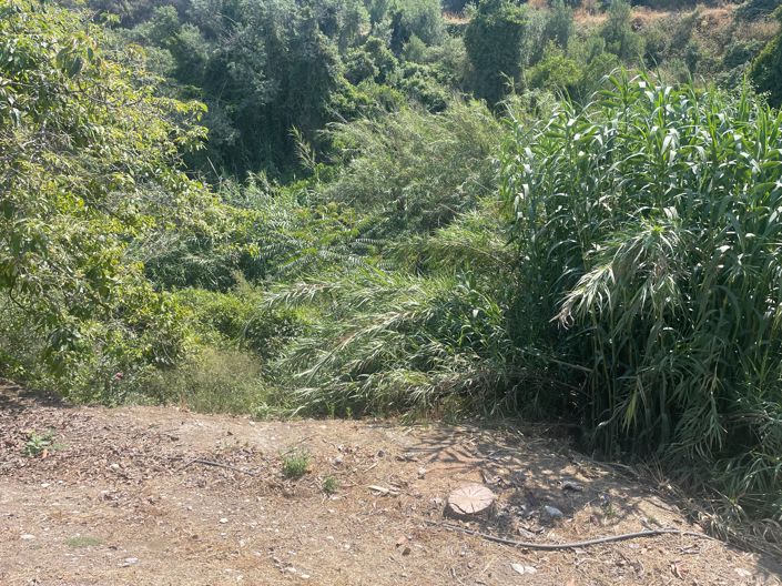 Image No.23-Finca de 2 chambres à vendre à Coin