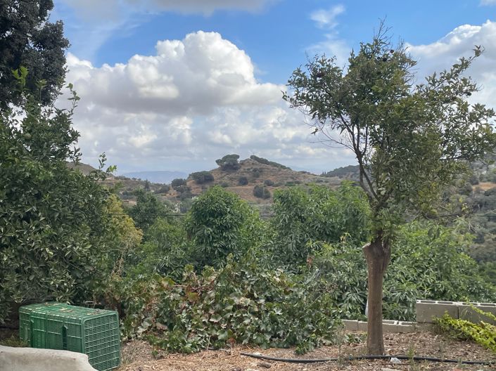 Image No.13-Finca de 2 chambres à vendre à Coin