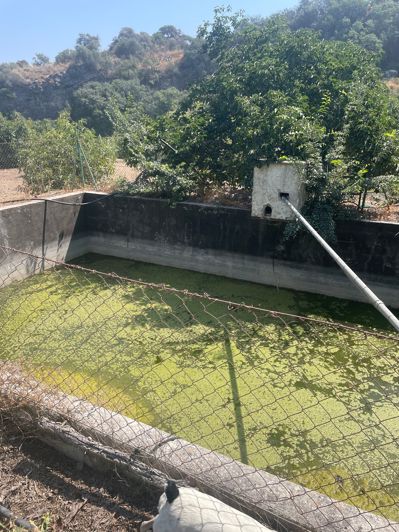 Image No.24-Finca de 2 chambres à vendre à Coin