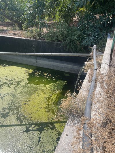 Image No.25-Finca de 2 chambres à vendre à Coin