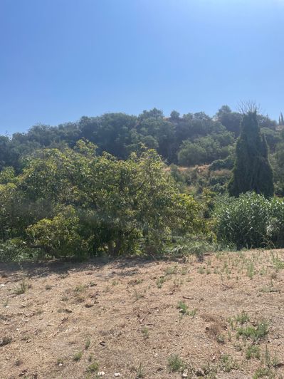 Image No.15-Finca de 2 chambres à vendre à Coin