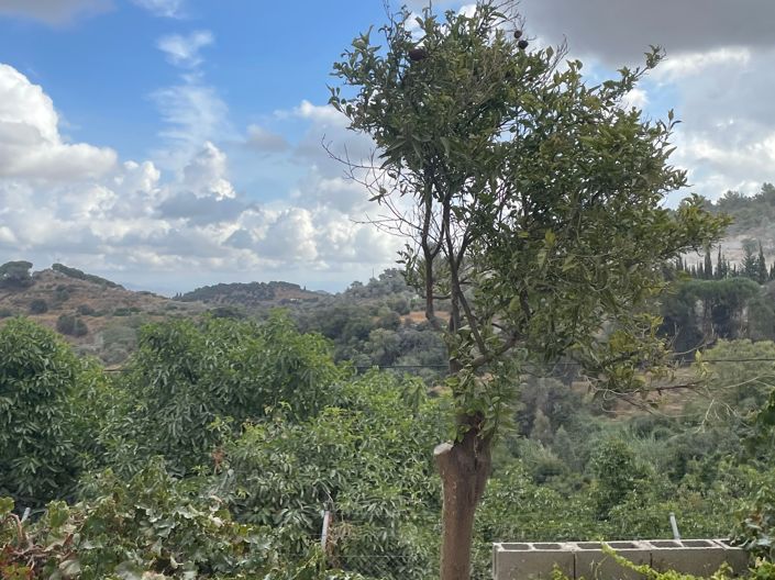 Image No.5-Finca de 2 chambres à vendre à Coin