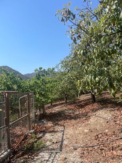 Image No.18-Finca de 2 chambres à vendre à Coin