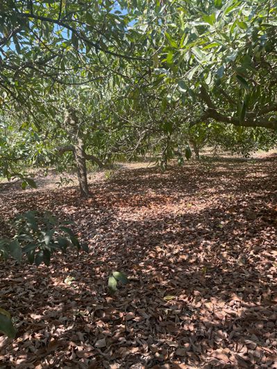 Image No.19-Finca de 2 chambres à vendre à Coin