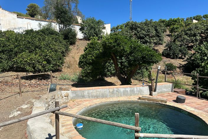 Image No.4-Finca à vendre à Vélez-Málaga