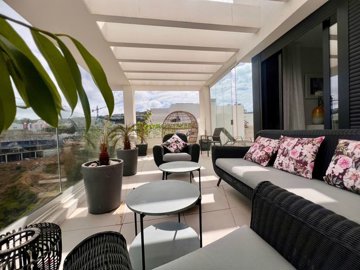 spcrm3888-ggmleaf6hhonrjma