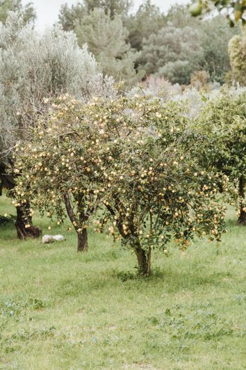 Image No.18-4 Bed House for sale