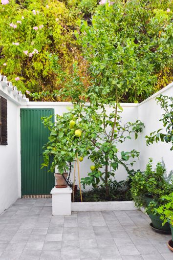 Image No.8-Maison de ville de 2 chambres à vendre à Marbella