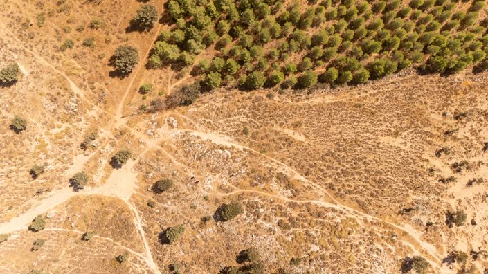 Image No.10-Terrain à vendre à Antequera