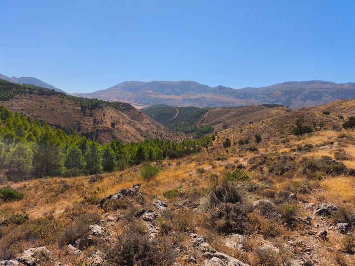 Image No.2-Terrain à vendre à Antequera