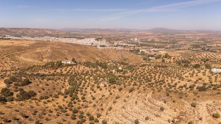Image No.7-Terrain à vendre à Antequera