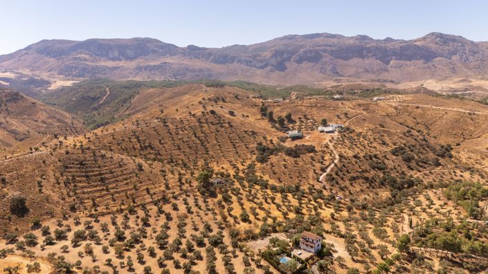 Image No.8-Terrain à vendre à Antequera