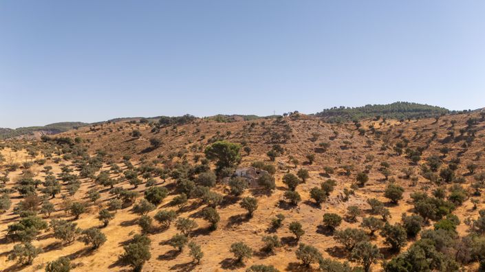 Image No.11-Villa for sale