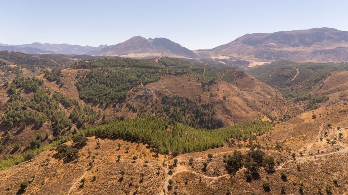 Image No.9-Villa for sale