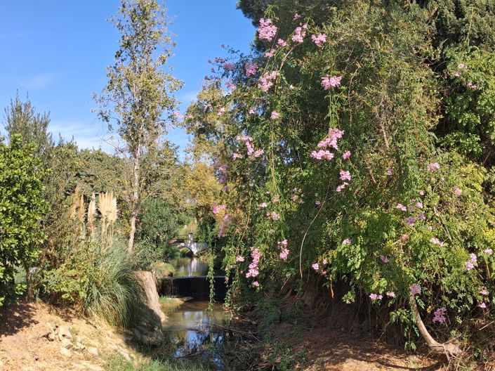 Image No.26-Penthouse de 2 chambres à vendre à Estepona