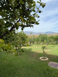 spcrm4095-ofqgq2k1v49zmmze