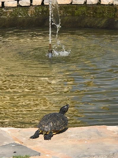 Image No.20-2 Bed Apartment for sale