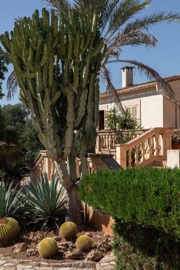 Image No.31-Maison de 4 chambres à vendre à Marratxi