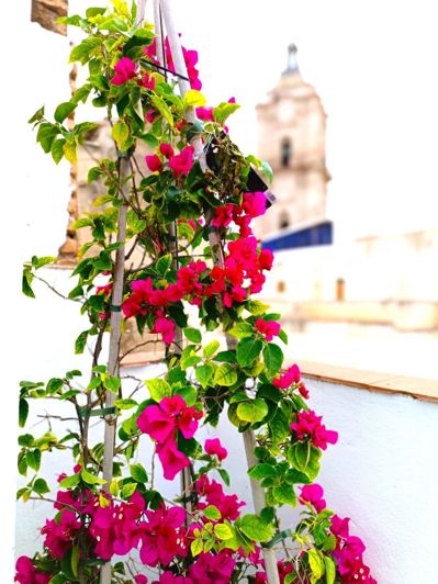 Image No.29-11 Bed Property for sale