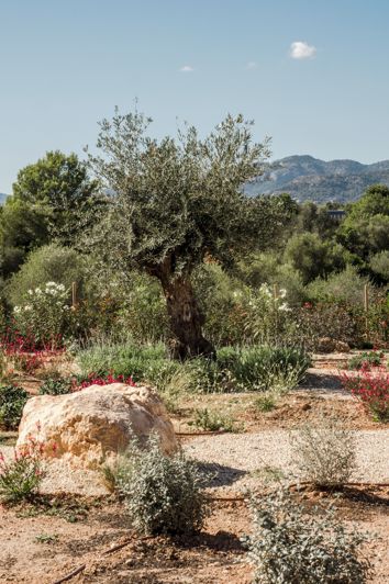 Image No.26-Plot for sale