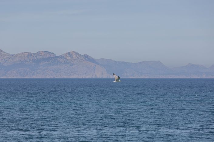 Image No.22-Plot for sale