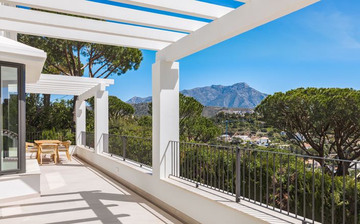 Image No.24-5 Bed House for sale