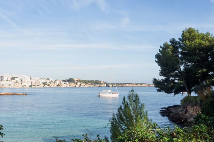 Image No.31-Appartement de 1 chambre à vendre à Calvià