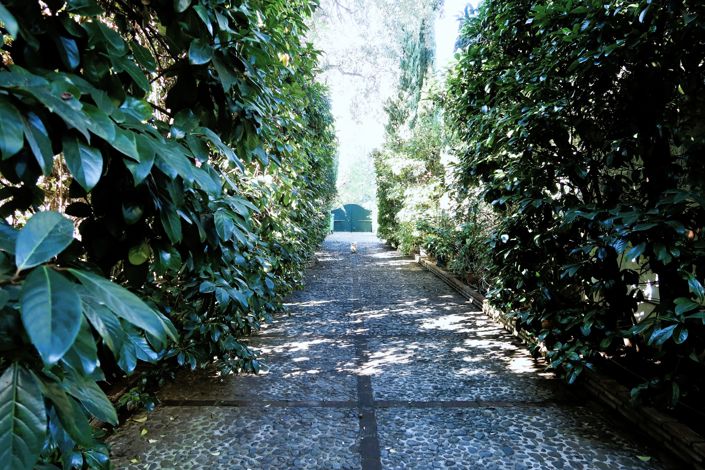 Image No.7-Maison de 3 chambres à vendre à San Roque