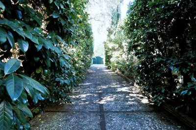 spcrm4362-nwyldb3yosviabds