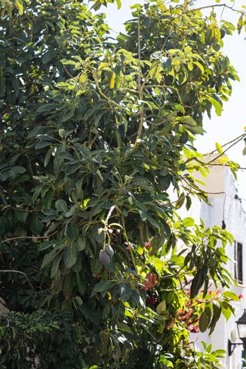 Image No.26-Appartement de 1 chambre à vendre à Estepona