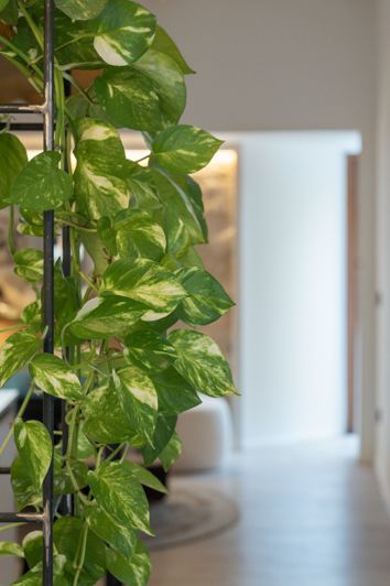 Image No.27-Maison de ville de 3 chambres à vendre à Palma de Mallorca