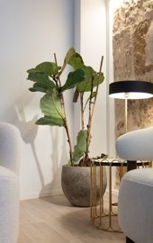 spcrm4379-hdn2njvaqrojsuoa