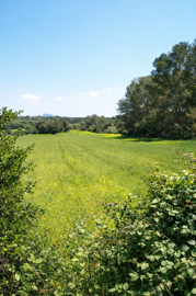 spcrm4417-vtop7md06wlp3zt9