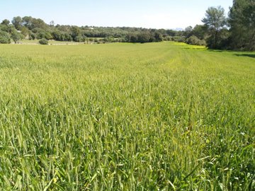 spcrm4417-6nxzonkmthqmq1lx