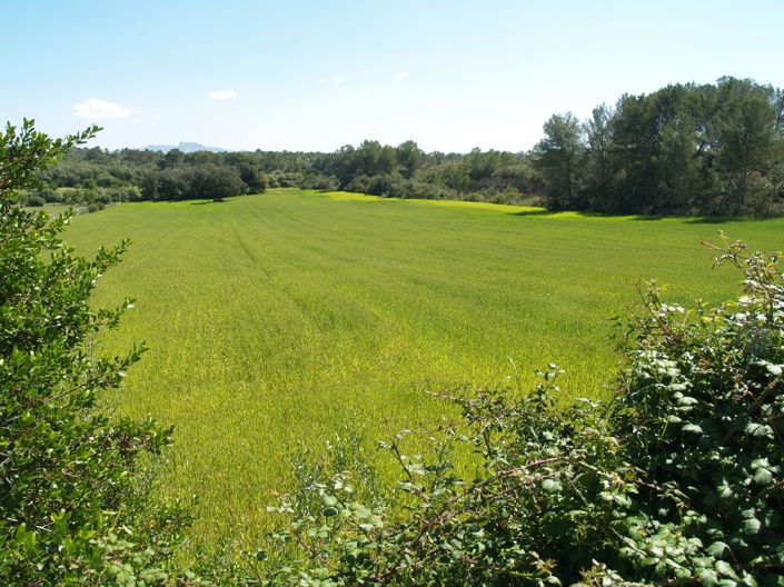 Image No.13-Plot for sale