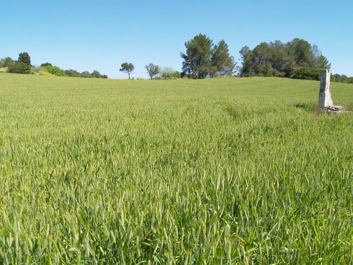 Image No.4-Plot for sale