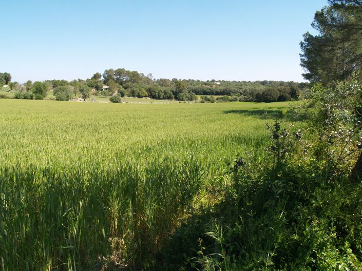 Image No.9-Plot for sale